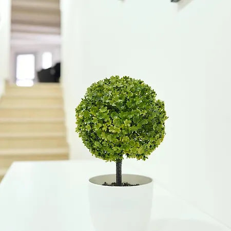 Πανσιόν Zemra Room&apartment Πομπηία
