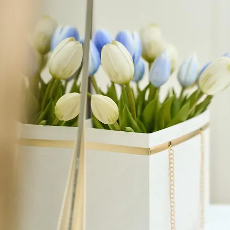 Zemra Room&apartment Πομπηία