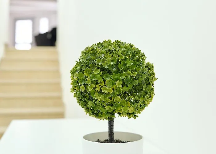 Πανσιόν Zemra Room&apartment Πομπηία